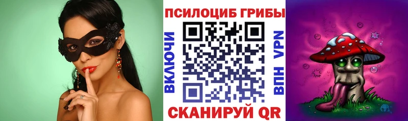 Псилоцибиновые грибы Psilocybe  Сосновоборск 